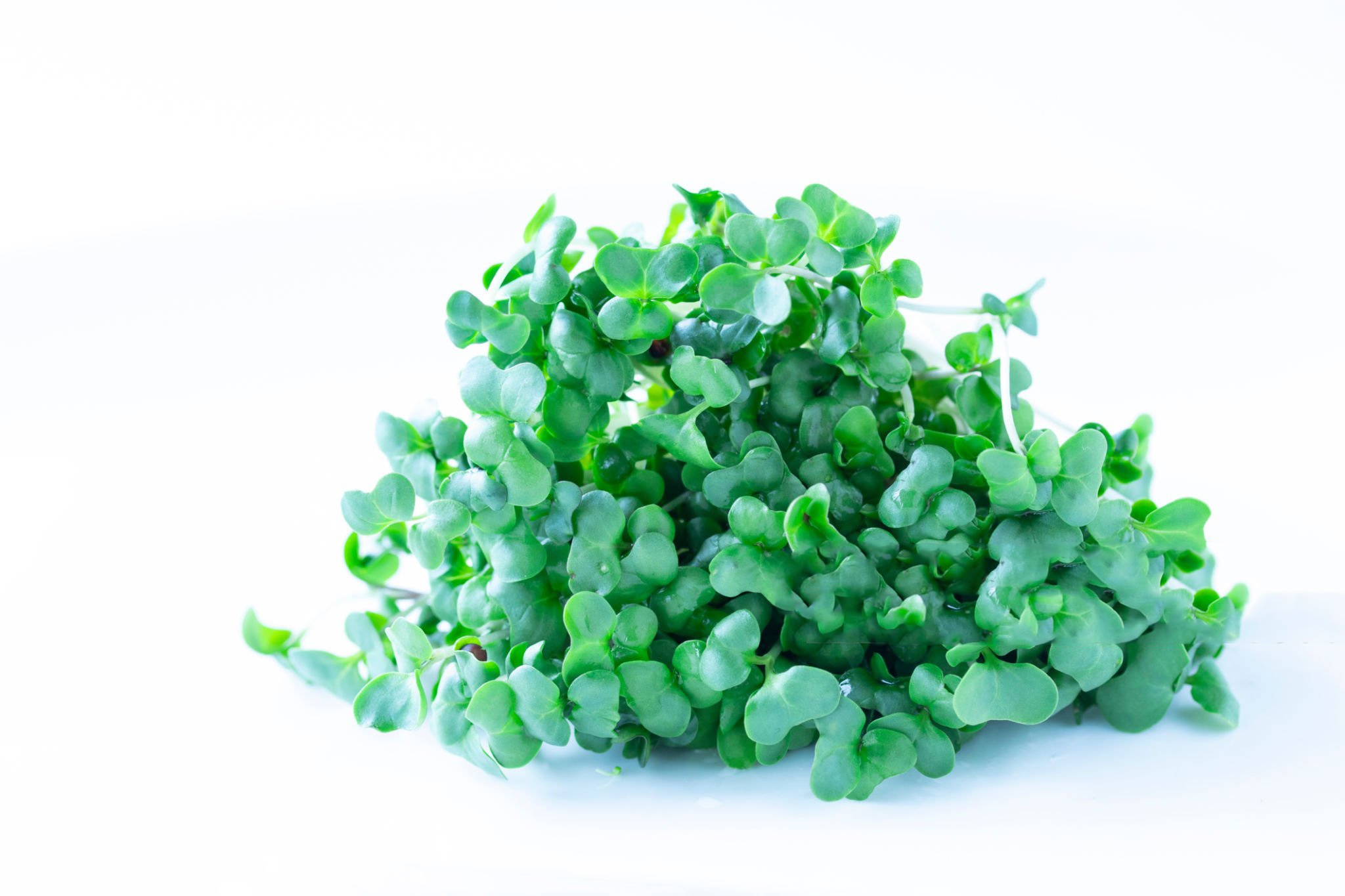 Microverdeturi de Broccoli