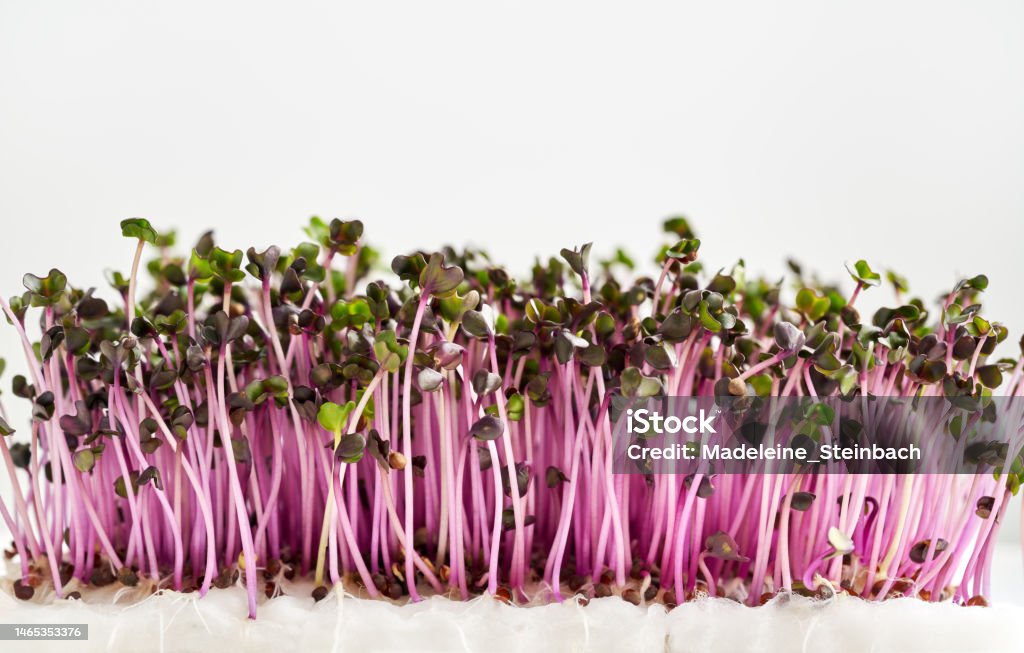 Microverdeturi