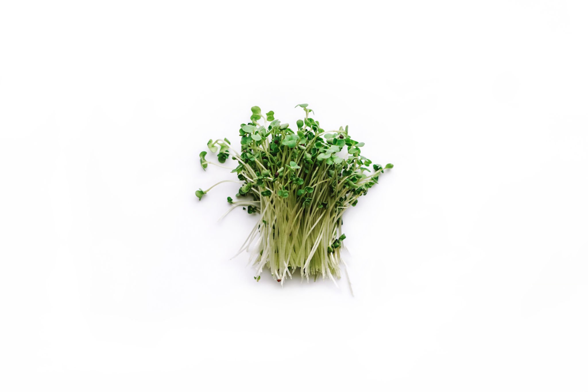 Microverdeturi de broccoli